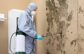 Best Residential Mold Inspection & Testing in Elverson, PA